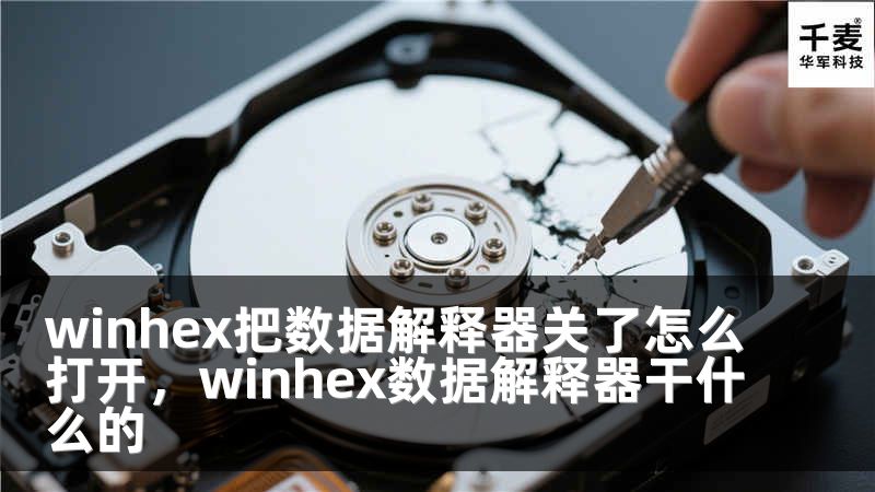 winhex把数据解释器关了怎么打开,winhex数据解释器干什么的