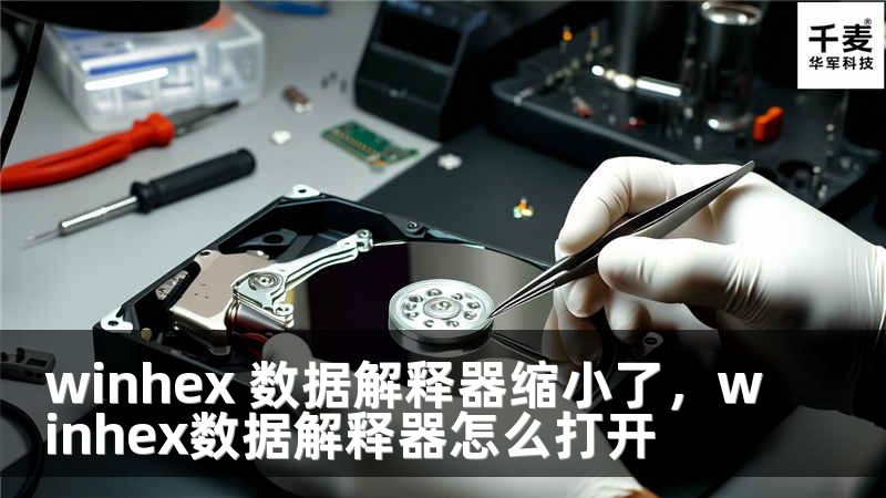 winhex 数据解释器缩小了,winhex数据解释器怎么打开