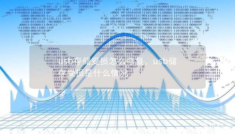 usb存储受损怎么修复，usb储存受损是什么情况