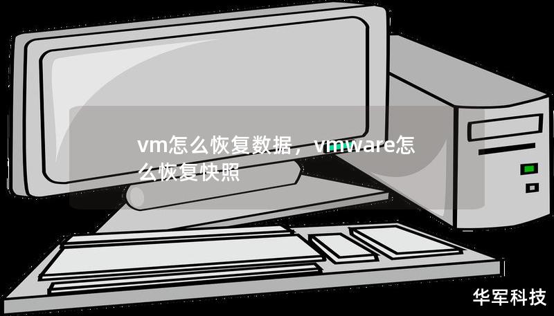 vm怎么恢复数据，vmware怎么恢复快照