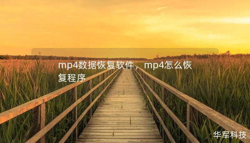 mp4数据恢复软件，mp4怎么恢复程序