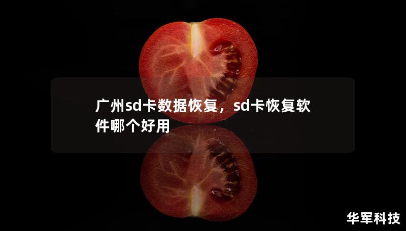 广州sd卡数据恢复，sd卡恢复软件哪个好用