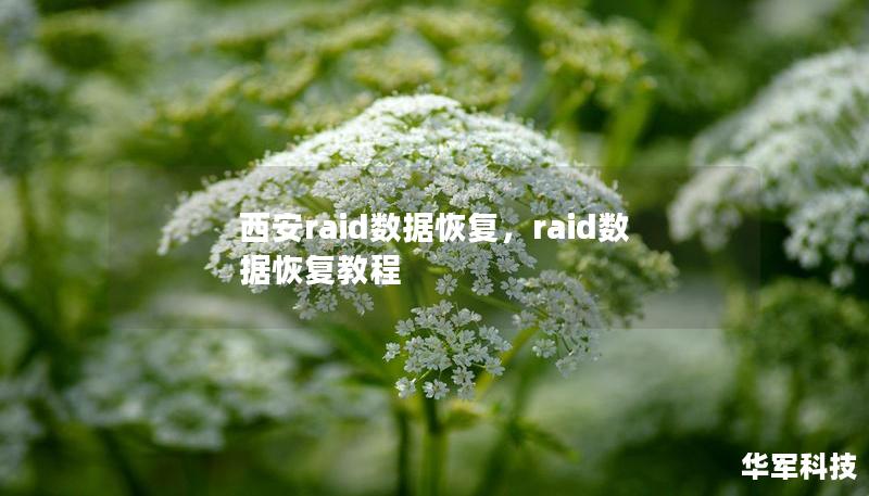 西安raid数据恢复，raid数据恢复教程