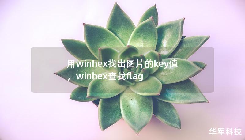 用winhex找出图片的key值，winhex查找flag