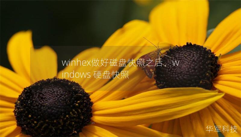 winhex做好磁盘快照之后，windows 硬盘快照