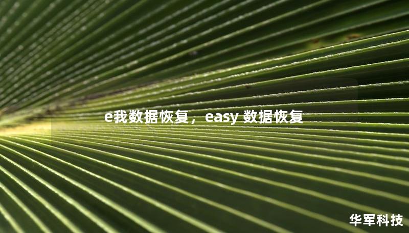 e我数据恢复，easy 数据恢复