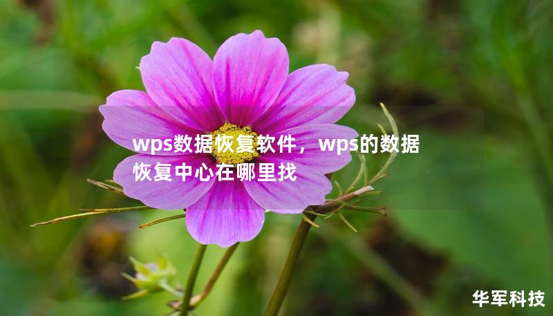 wps数据恢复软件，wps的数据恢复中心在哪里找