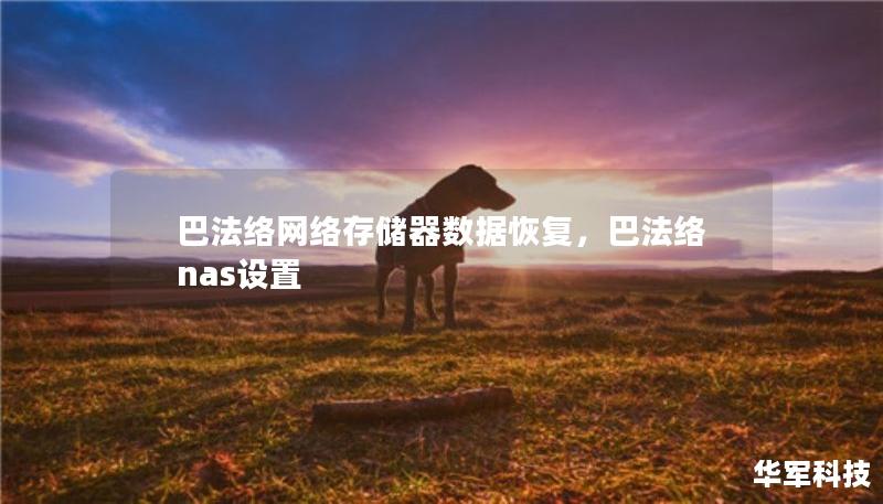 巴法络网络存储器数据恢复，巴法络nas设置