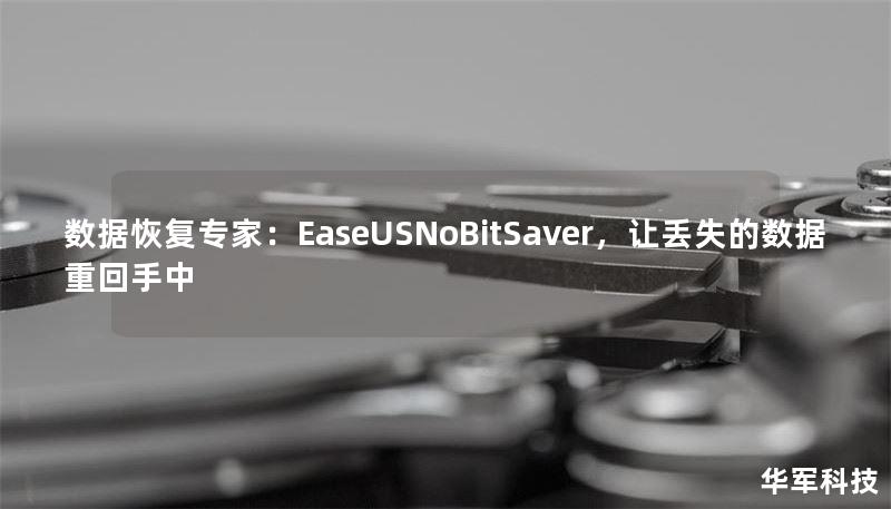 数据恢复专家：EaseUSNoBitSaver，让丢失的数据重回手中